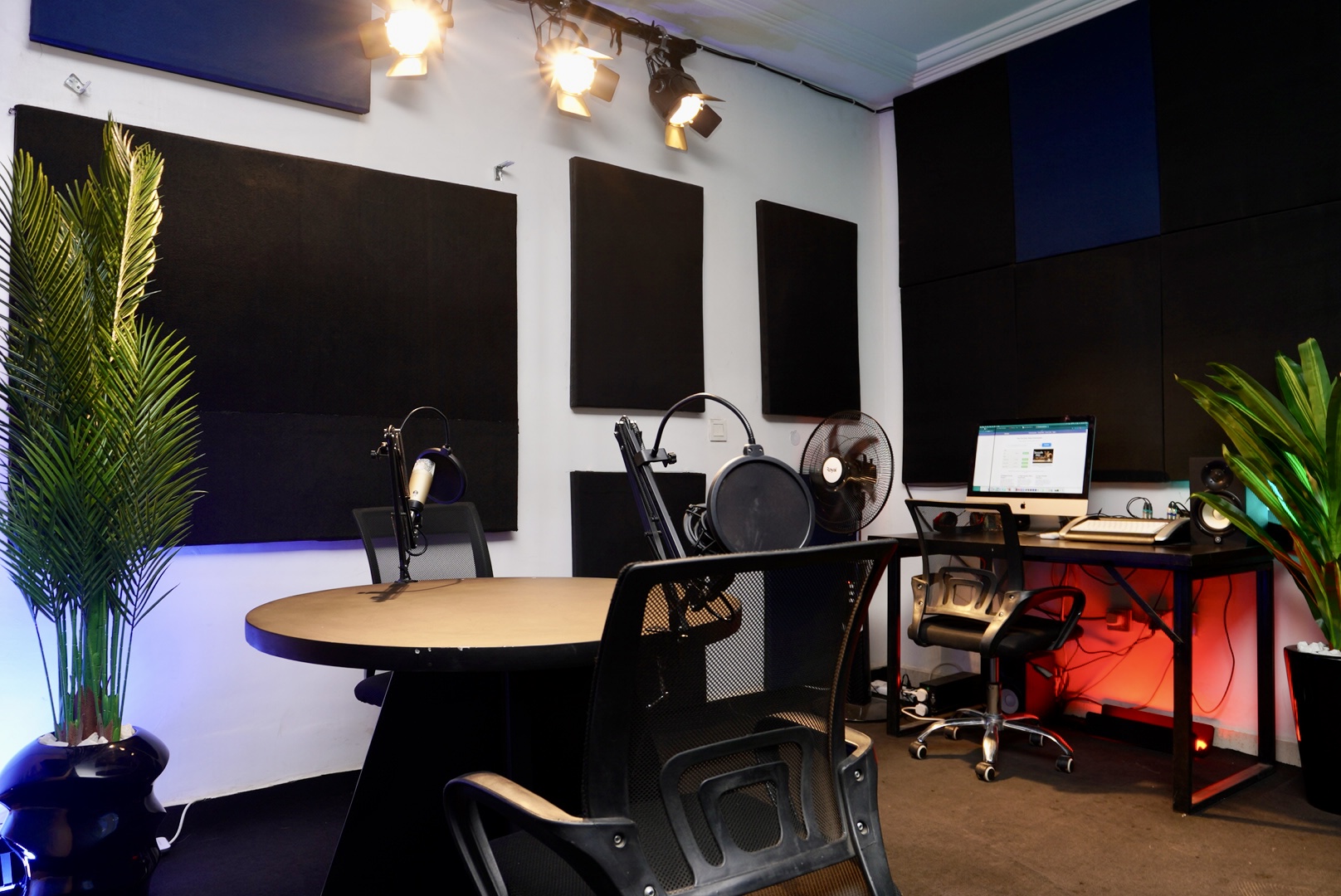 Dataphyte media studio